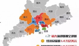 东莞大湾区爆料案件最新,惊天大案背后真相揭晓