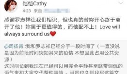 云南文山恺恺最新爆料,揭秘不为人知的背后故事