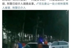 唐山最近爆料案件最新,真相渐明，警方全力侦破