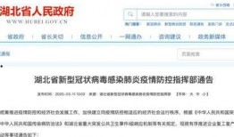 湖北爆料最新新闻消息,聚焦突发事件，揭秘背后真相