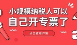 小蛙最新爆料新闻,最新爆料新闻背后的真相与内幕